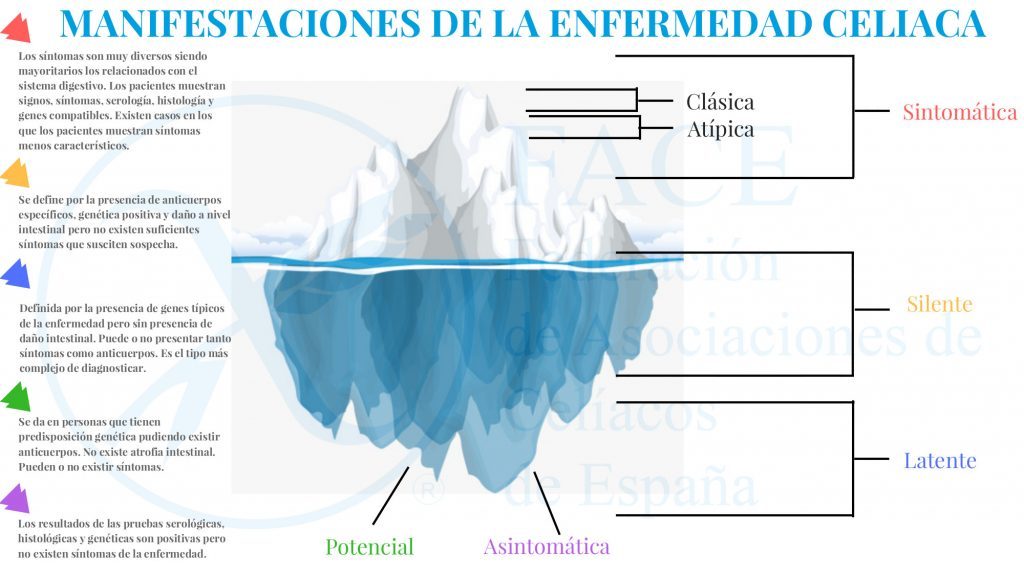 manifestaciones enfermedad hla celiaquía