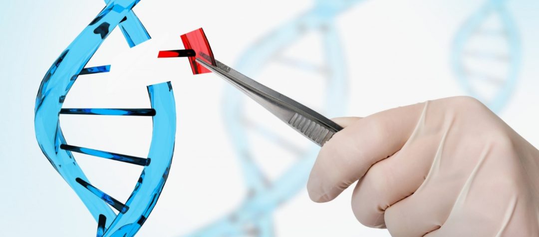 CRISPR cas9 y Prime Editing: Presente y futuro de la edición genética