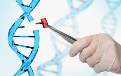 CRISPR cas9 y Prime Editing: Presente y futuro de la edición genética