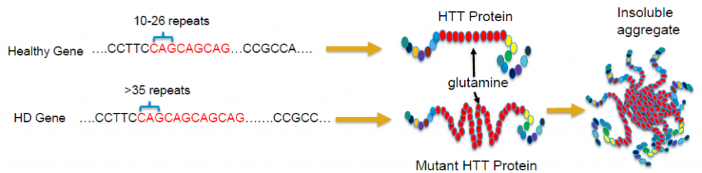 Eenfermedad de Hungtington