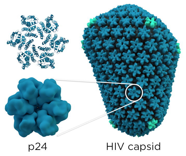 infeccion por hiv