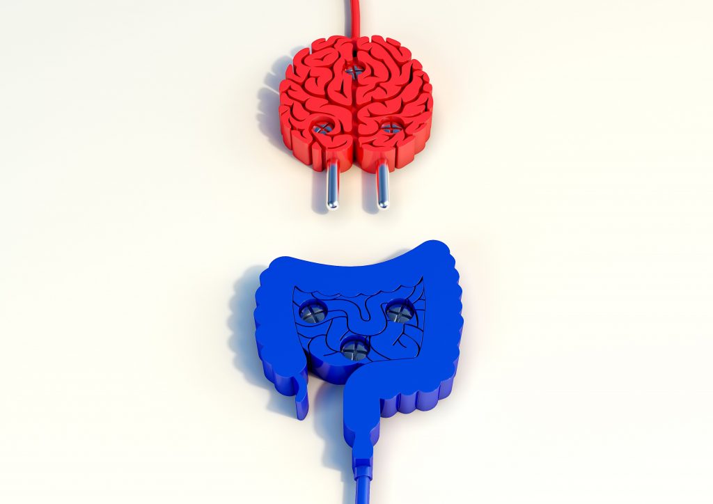 microbiota intestinal y cerebro 
