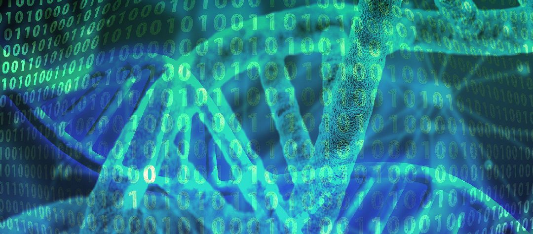 CoolMPS™: Secuenciación masiva en paralelo usando anticuerpos específicos para cada nucleobase natural