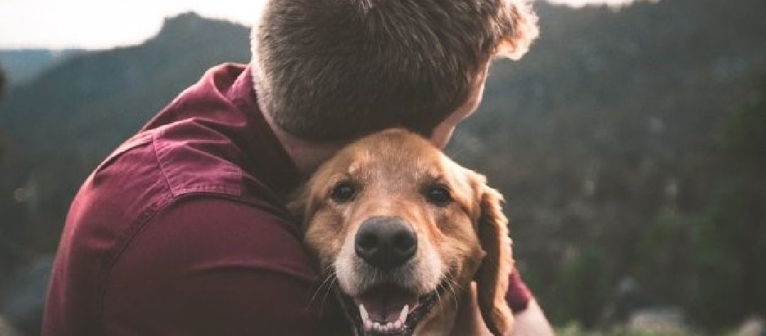 El mejor amigo del hombre: los perros podrían detectar el cáncer con precisión