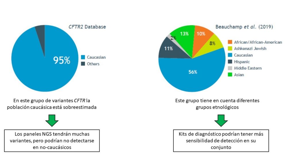 La base CFTR2 tiene menos en cuenta a poblaciones no caucásicas (5%) que la base generada por el estudio Beauchamp (44%)