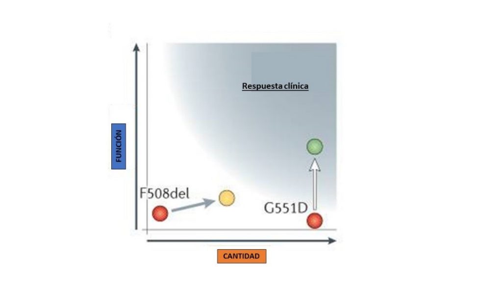 Efectos sobre la función y cantidad de ivacaftor (G551D) y lumacaftor en F508del. El efecto sobre la función con lumacaftor no alcanzaba la respuesta clínica (área azulada)