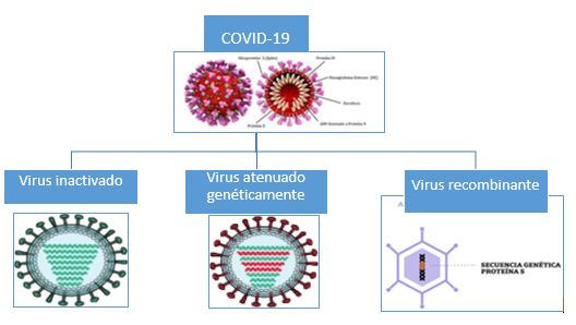 tipos de virus covid-19: inactivado atenuado recombinante