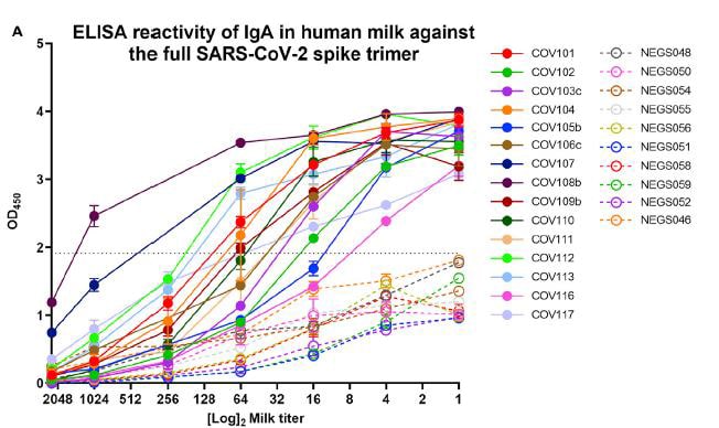 transmisión vertical ELISA reactividad en leche materna con sars cov 2