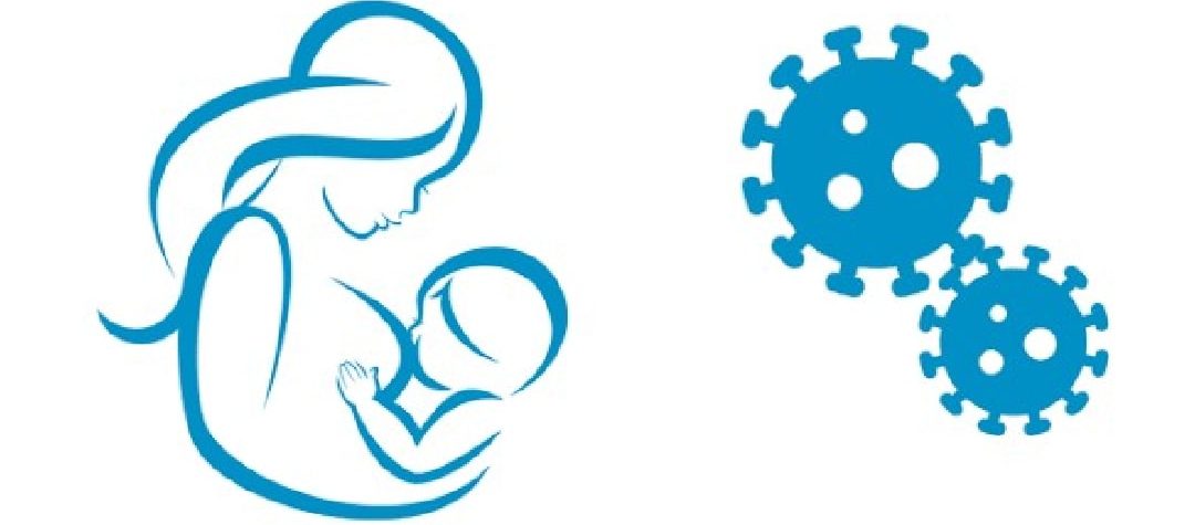 transmisión vertical sars-cov-2 y papel protector leche materna covid-19