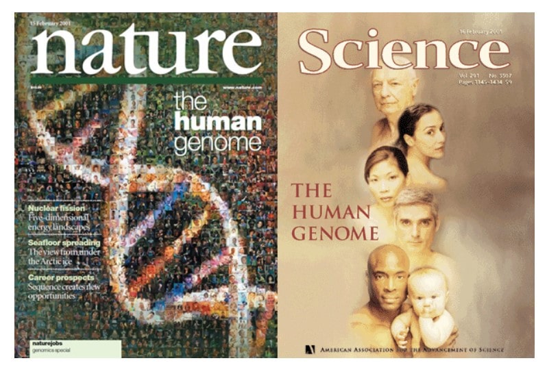 Genoma Humano: Portadas de la revista Nature y Science publicadas en febrero de 2001 