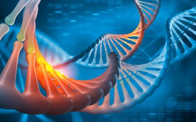 NGS como herramienta en la biopsia líquida