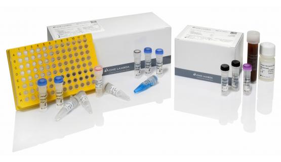 Tipaje HLA por NGS. AllType™ FASTplex™ NGS kit