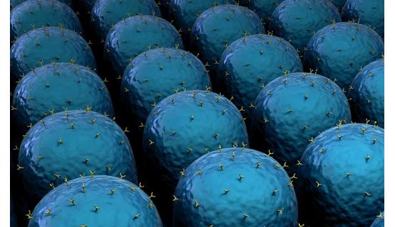Servicio de análisis de Biomarcadores Proteicos